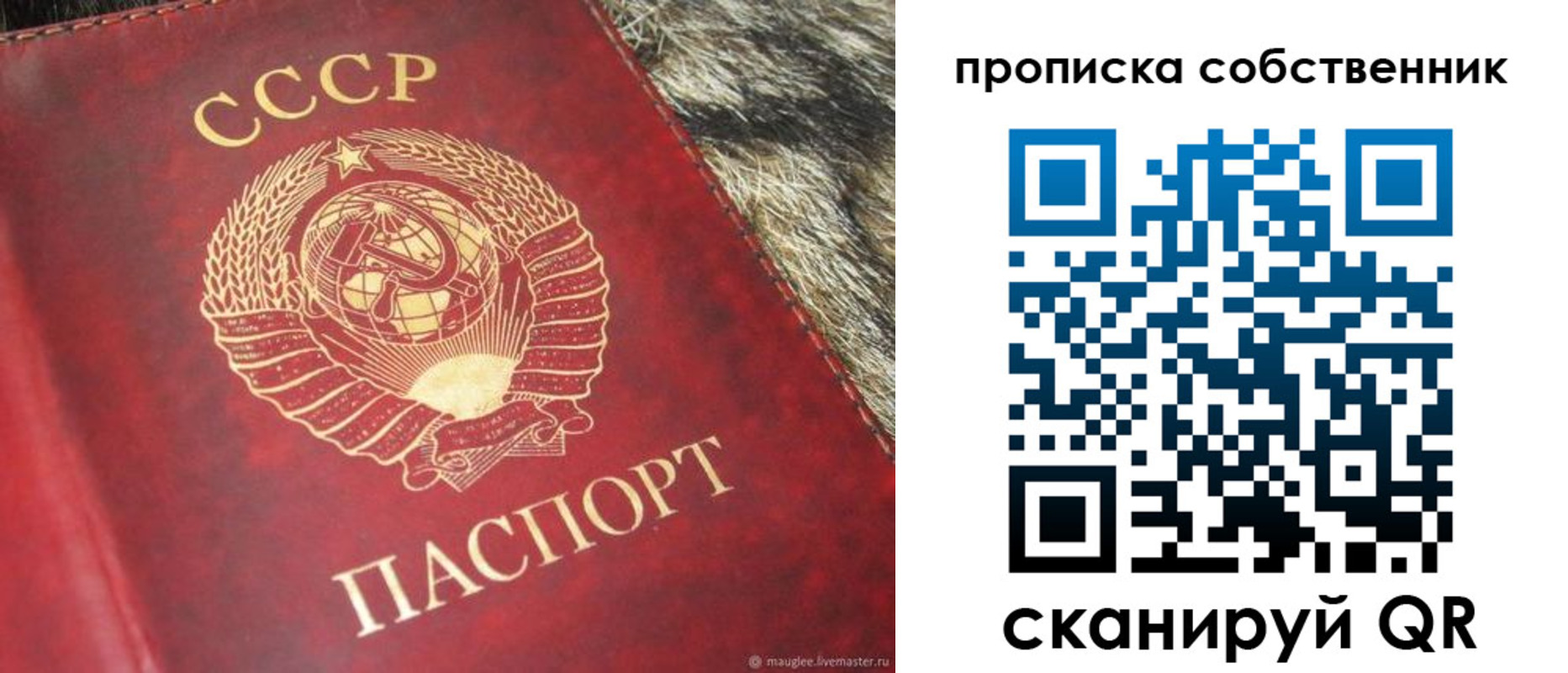 прописка в квартире в Сосновом Бору